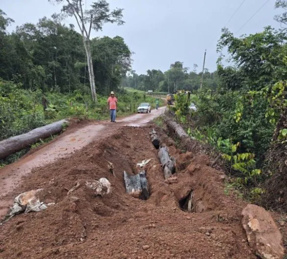 Prefeito Rodrigo Benassi apresenta projeto de pavimentação da Estrada TRATEX em Brasília