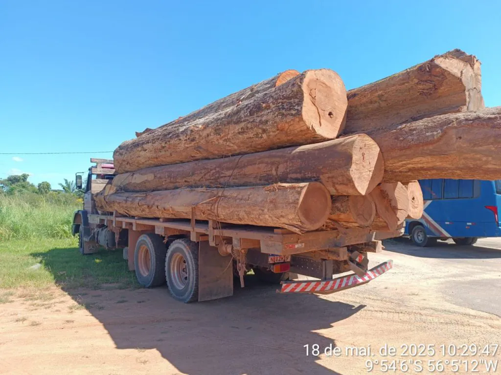 motorista é flagrado transportando carga de madeira irregular