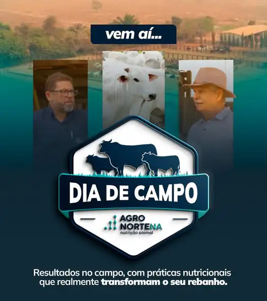 2º Dia de Campo da Agronortena: Como a Nutrição Estratégica Está Transformando Desafios em Resultados no Agro