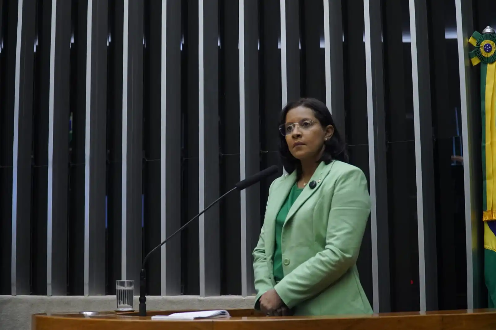 Gisela pede restituição em dobro de valores descontados de beneficiários do INSS e punição exemplar à envolvidos