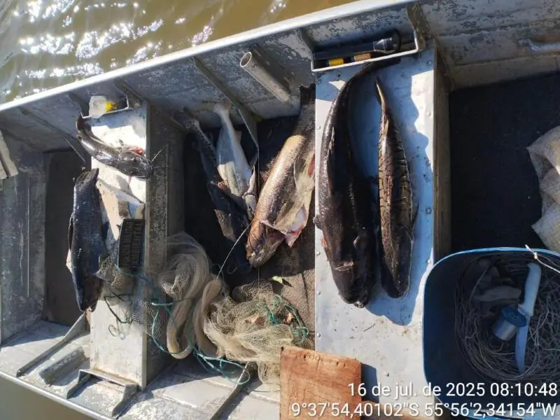 PM Ambiental prende pescador ilegal com 25 kg de peixe e aplica multa de mais de R$ 28 mil