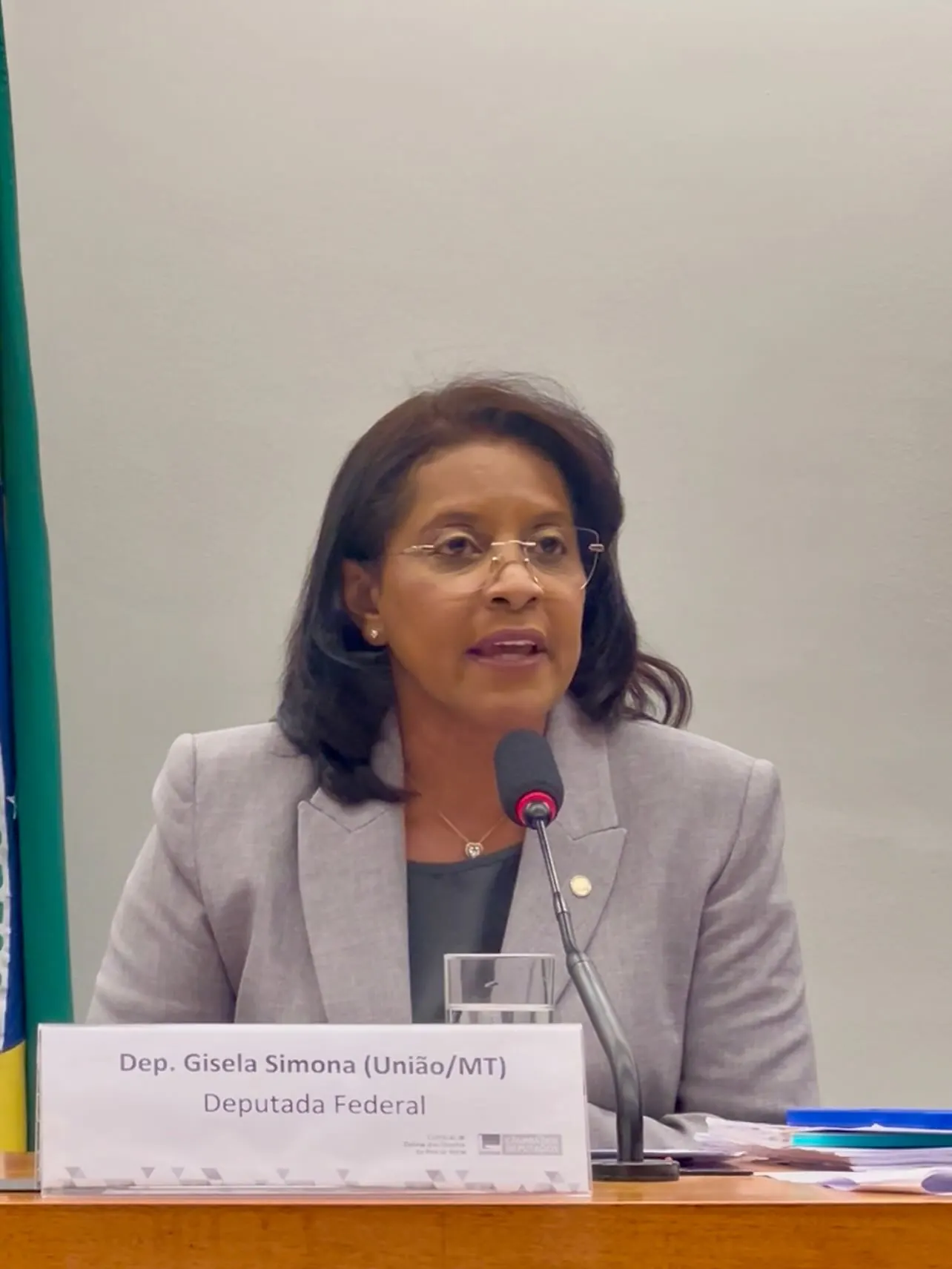 Deputada Gisela preside audiência na Câmara sobre proteção aos idosos em contratos de crédito”