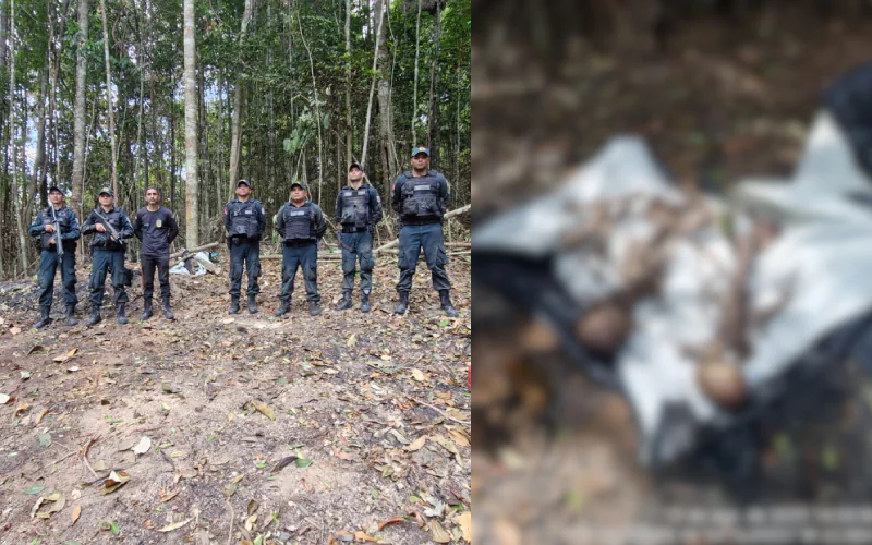 PM localiza destroços de avião e restos mortais em área isolada