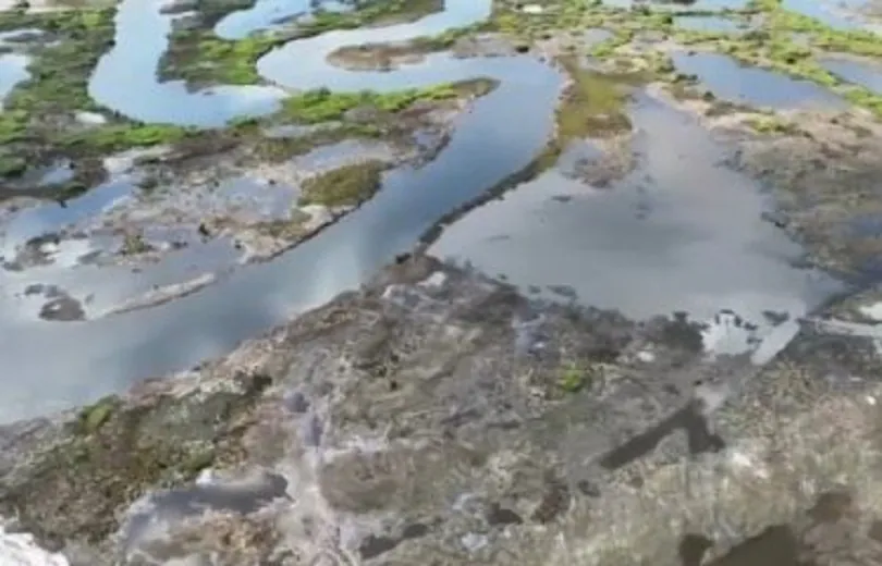 Usina de Colíder em nível de alerta e começa rebaixar reservatório; barcos encalhados e peixes mortos