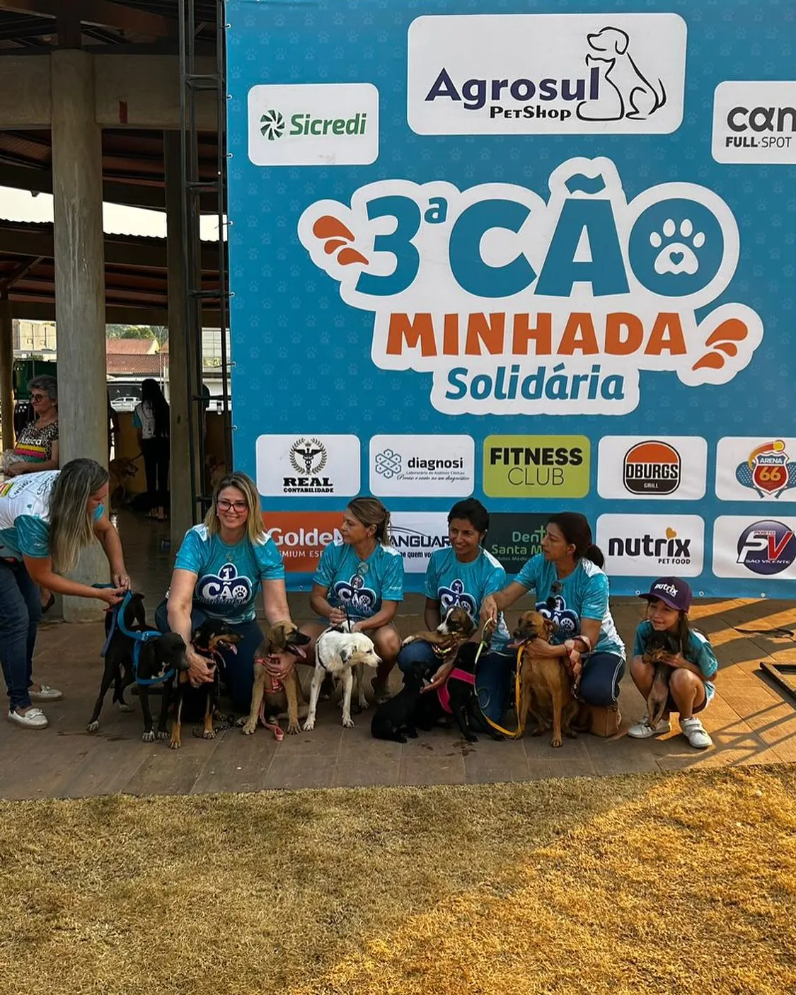 Associação Anjos Protetores conquista avanços históricos para a causa animal em Colíder