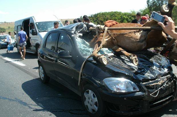 Carroça desgovernada provoca grave acidente na rodovia entre Caldas Novas e Goiânia
