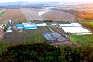 Crime brutal no Nortão de MT: homem é encontrado morto em área de mata e 7 pessoas acabam detidas