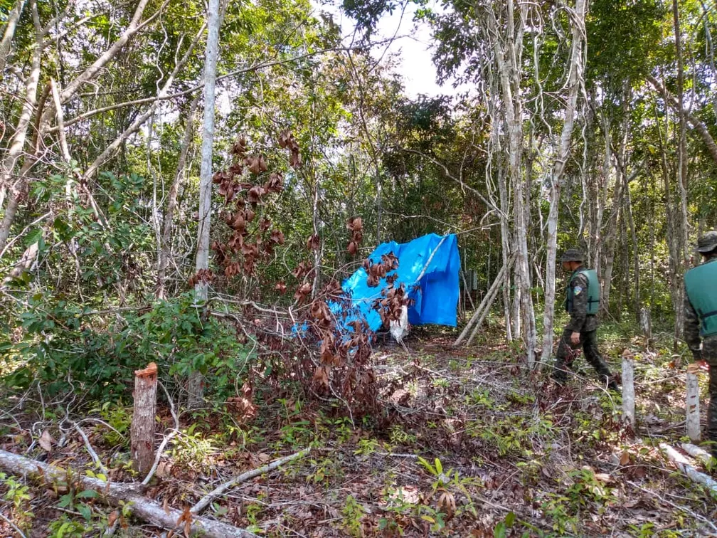 Caçador é encontrado morto em área de mata no Nortão de Mato Grosso e caso acende alerta sobre os riscos da caça