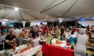 Página do Nortão: oficina em Matupá fortalece pequenos empreendedores e impulsiona o desenvolvimento econômico do Nortão de Mato Grosso