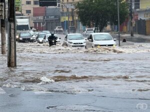 Temporal provoca quedas de árvores e alagamentos em Cuiabá e VG; bombeiros atendem 11 ocorrências