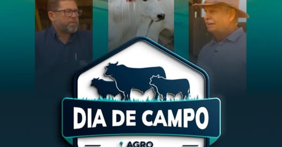 DIA DE CAMPO