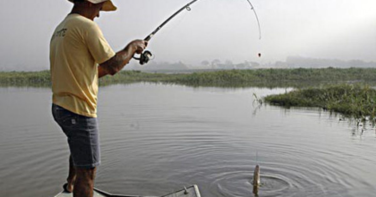 PESCADA...........0000909