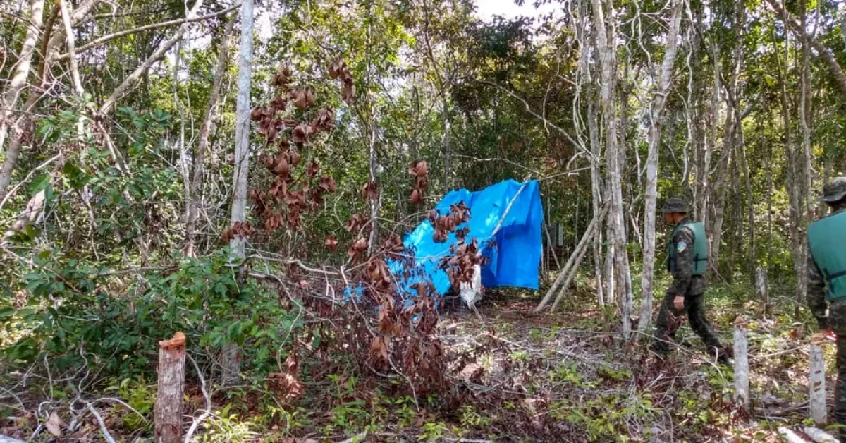 acampamento-e-feito-dentro-de-area-de-mata