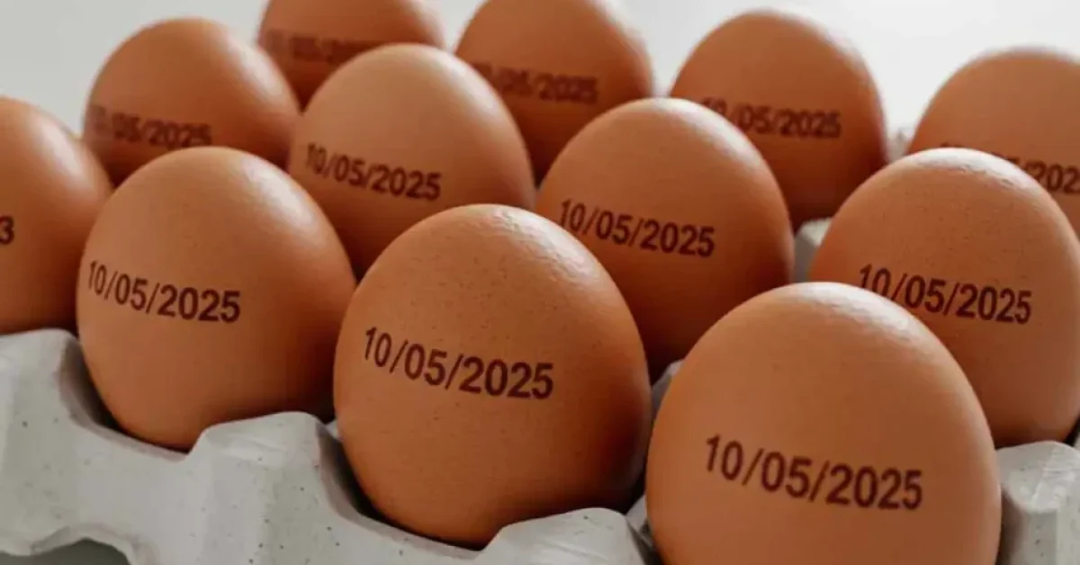 ovos-com-data-e1740775276389