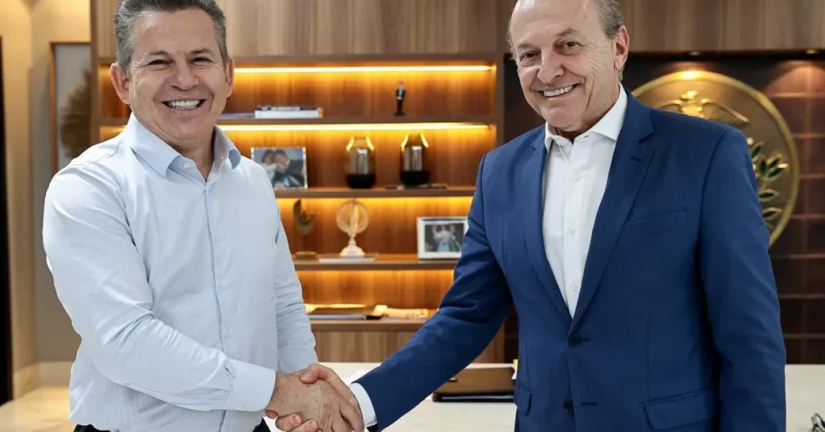 vice-assume